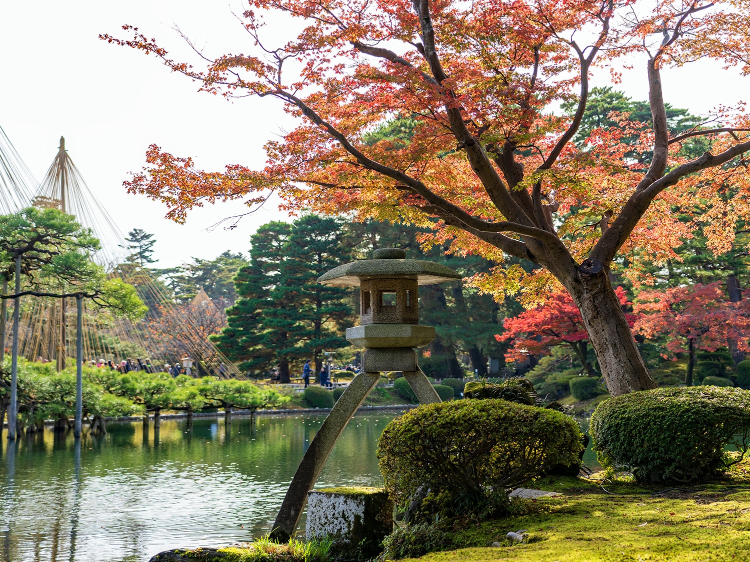 兼六園の魅力再発見！ガイドさん直伝の紅葉おもてなしツアー